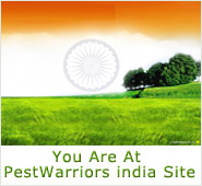 Pest Warriors in India